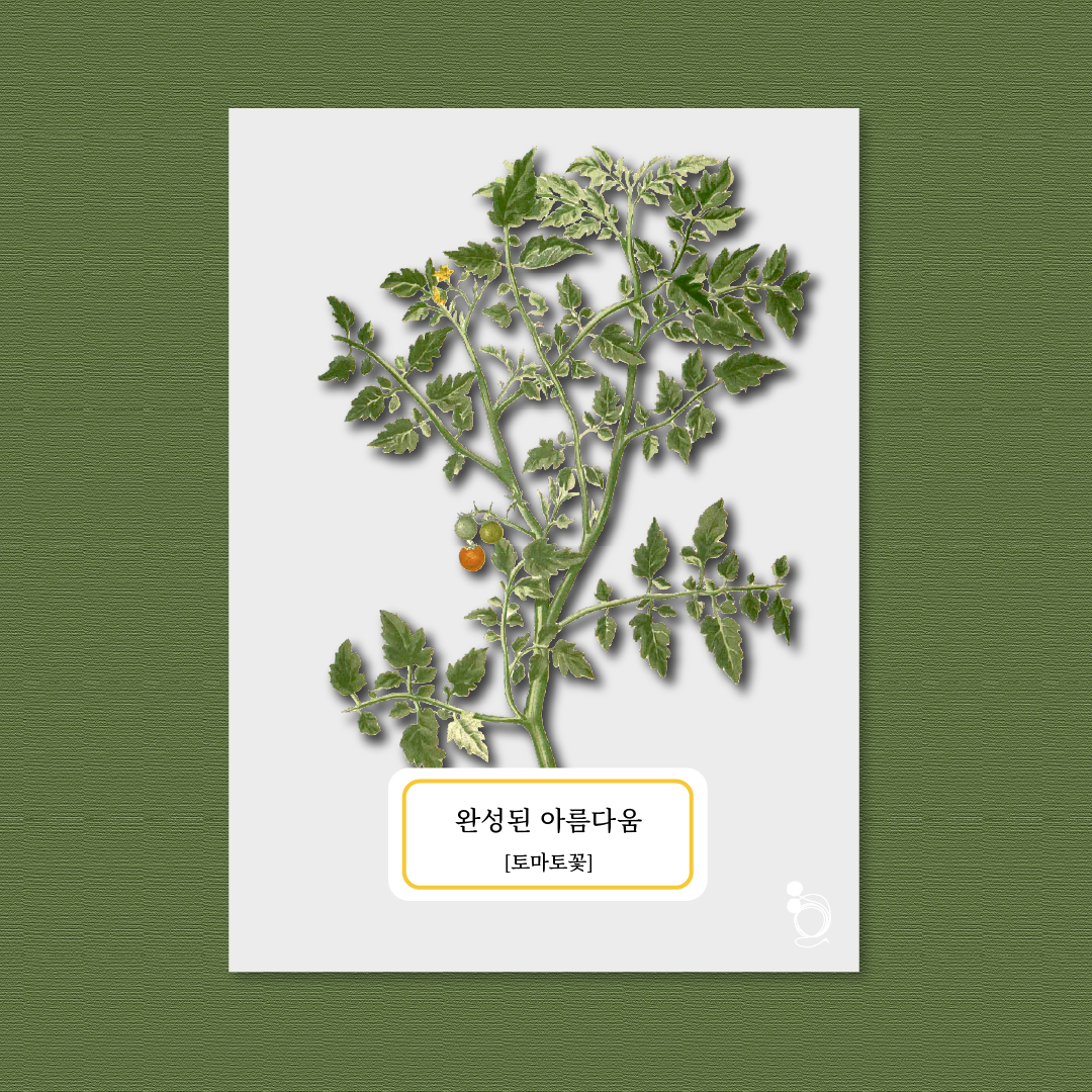 토마토대지 1.png