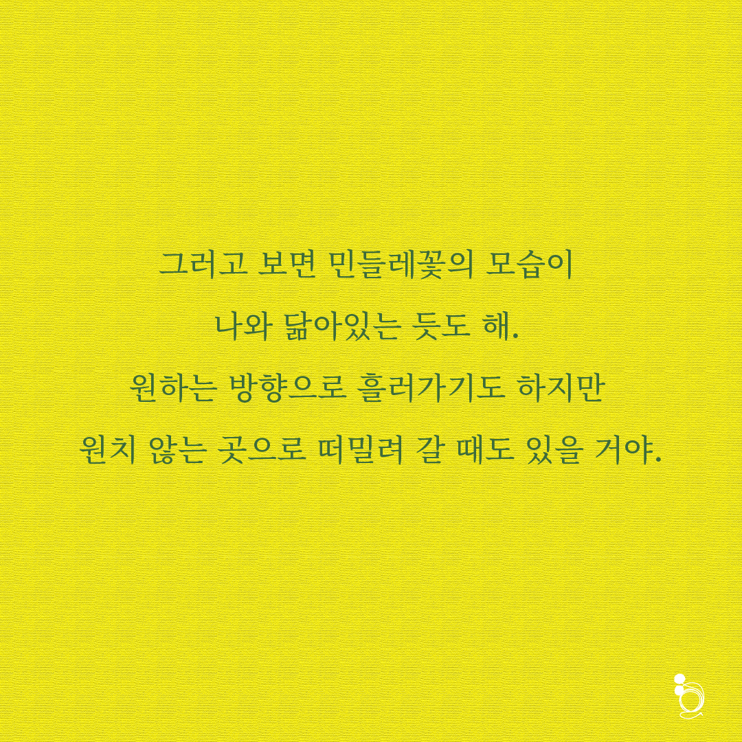 민들레 카드카드3.png