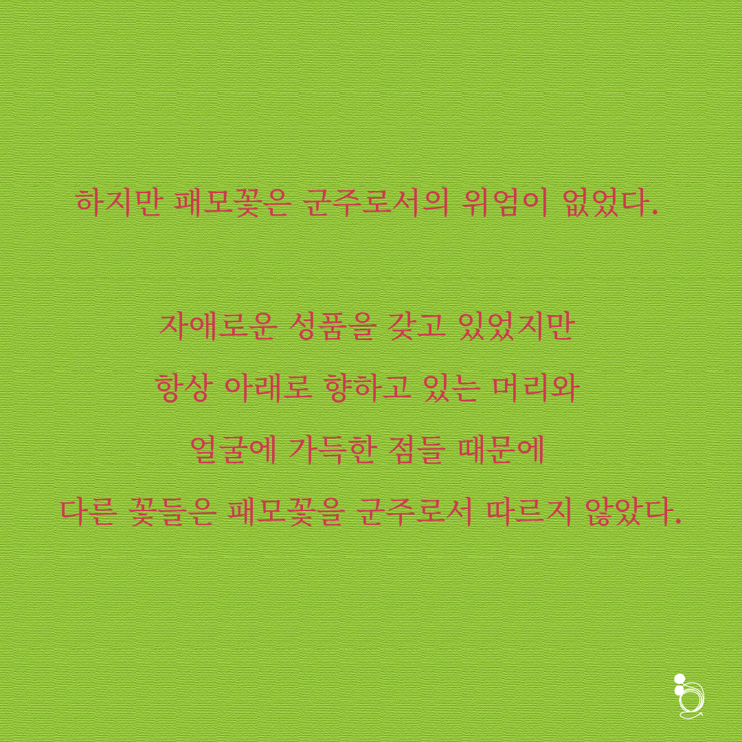 패모꽃 카드카드3.png