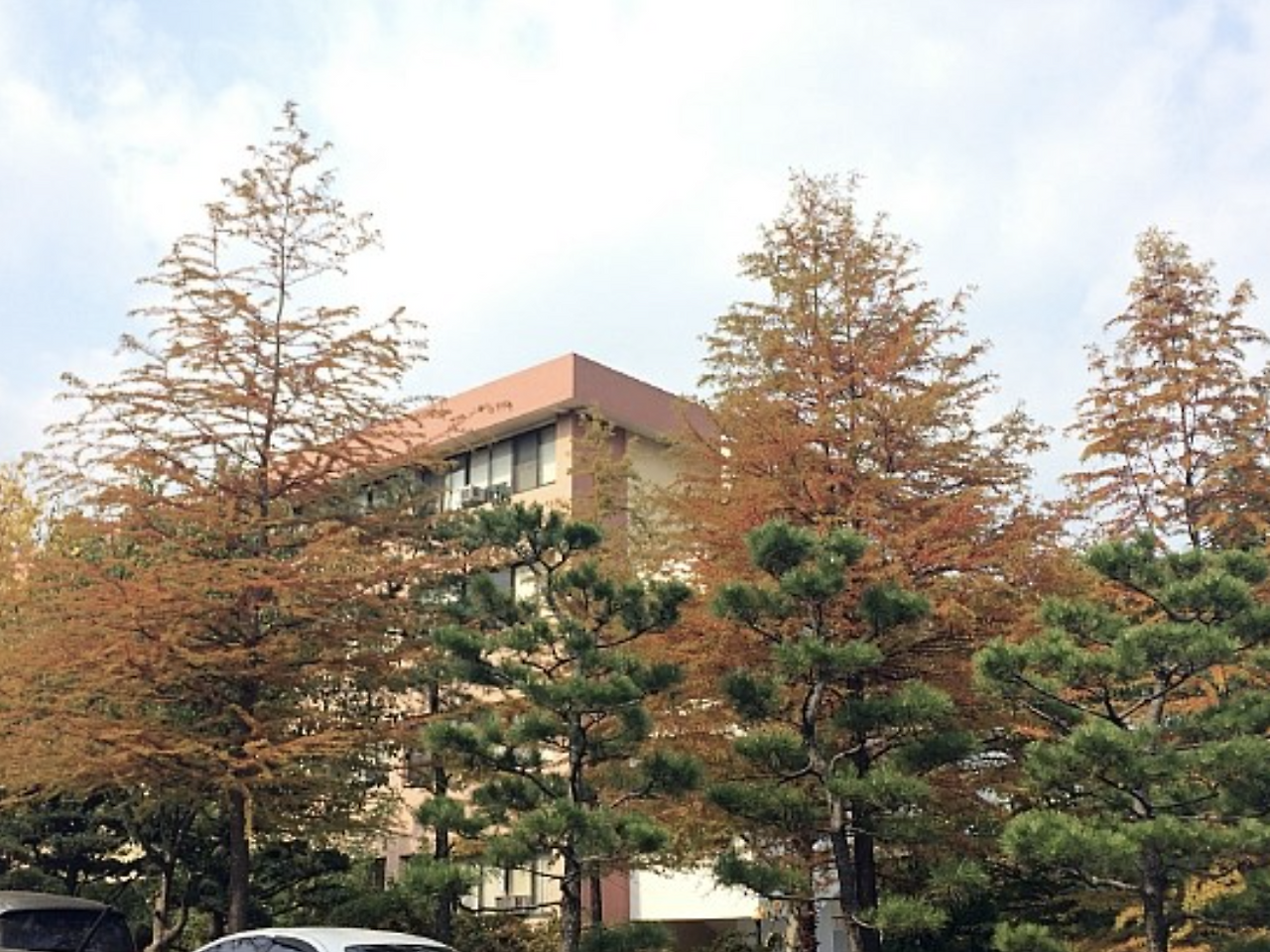 스크린샷 2022-12-06 오후 3.29.59.png