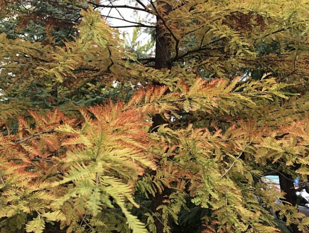 스크린샷 2022-12-06 오후 3.46.57.png