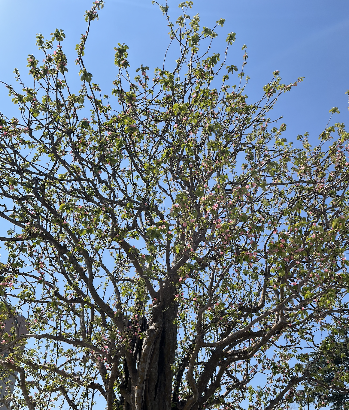 스크린샷 2023-03-28 오후 9.36.35.png