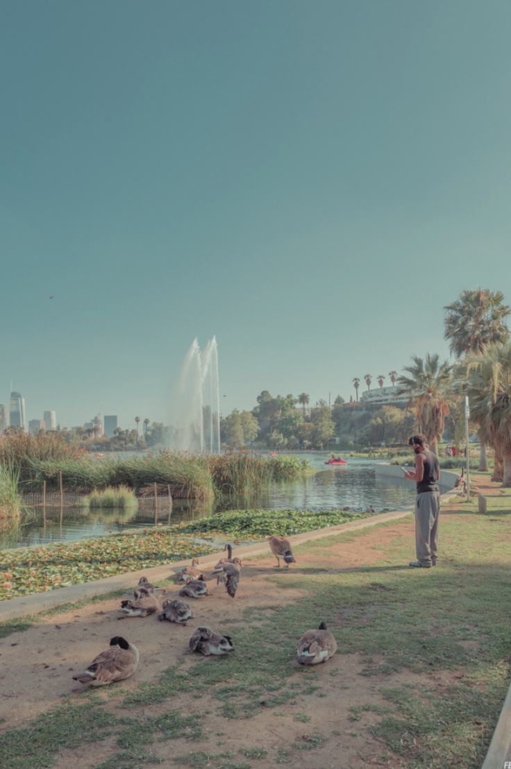 스크린샷 2018-05-13 오전 12.17.18.png