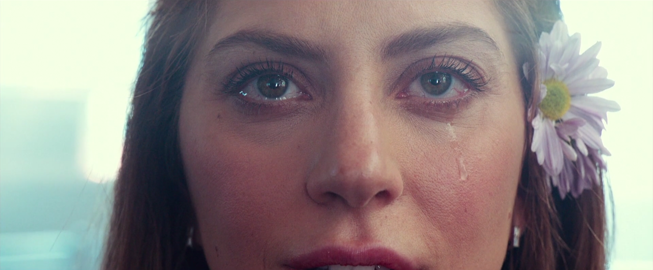 스타이즈본_(소장)_DTO_[FHD] 0004569460ms.png