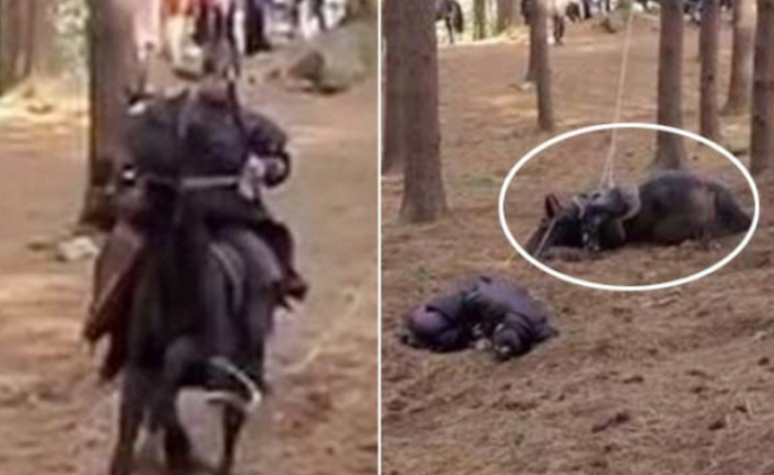 화면 캡처 2022-09-04 131921.png