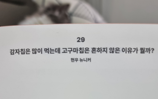 화면 캡처 2022-09-04 143822.png