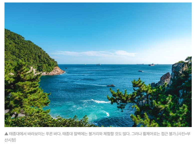 주석 2023-09-06 205831.png