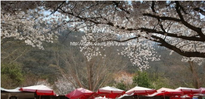 주석 2023-09-02 122002.png