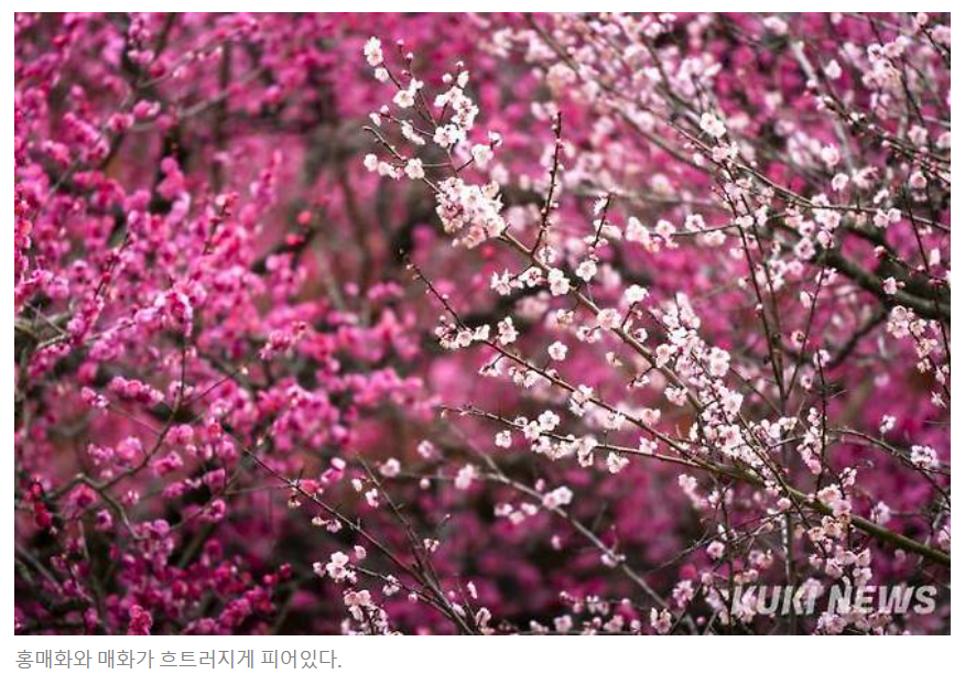 주석 2024-02-26 223204.png