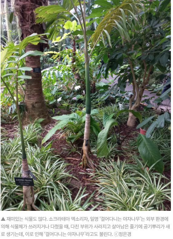 주석 2024-02-15 183134.png