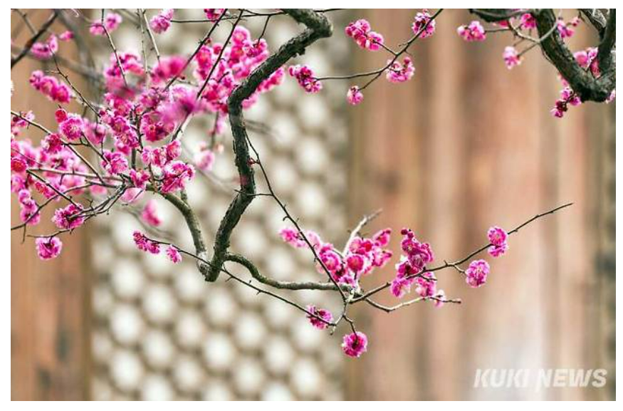 주석 2024-02-26 223219.png