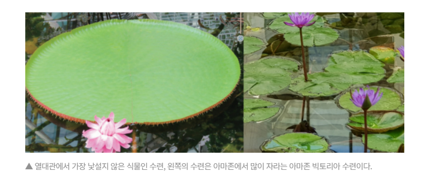 주석 2024-02-15 183108.png