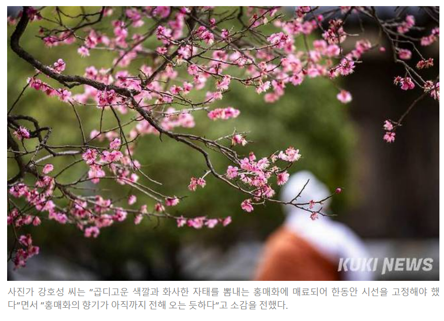 주석 2024-02-26 223131.png