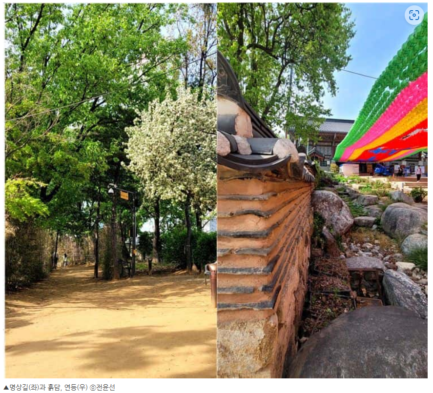 화면 캡처 2024-08-10 184426.png