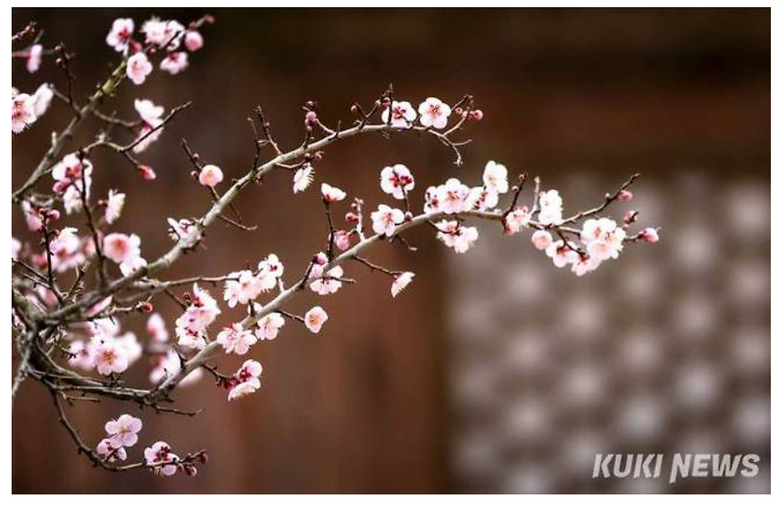 주석 2024-02-26 223145.png