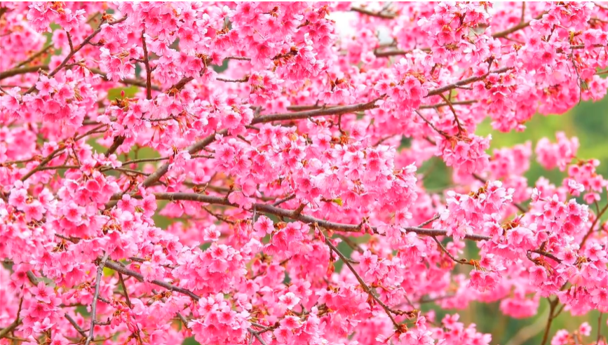 주석 2023-09-03 164737.png