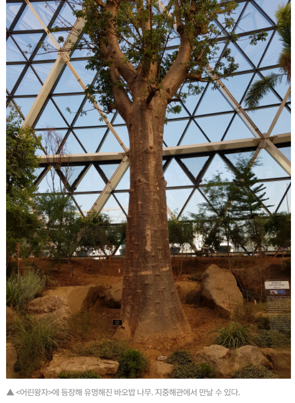 주석 2024-02-15 183214.png