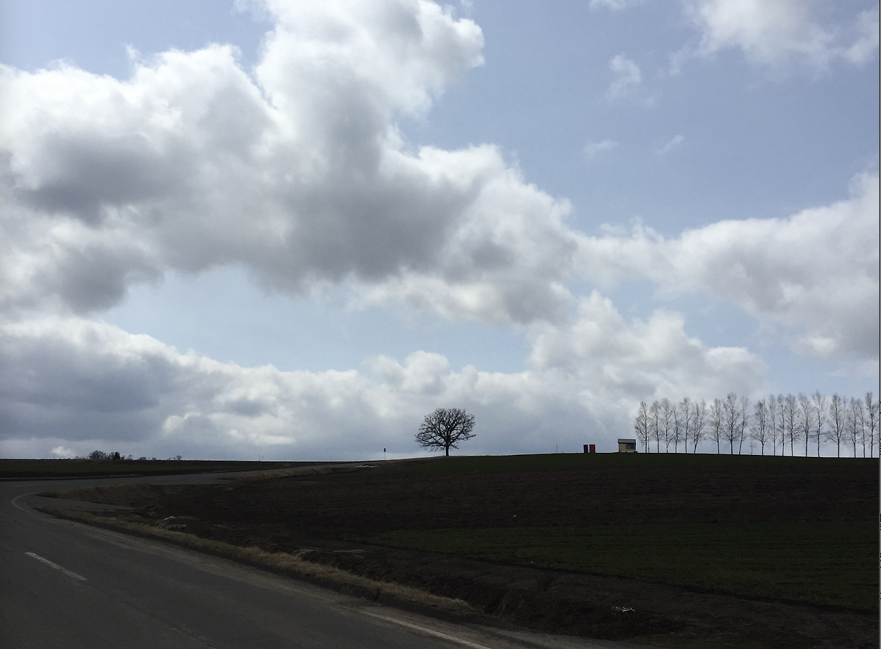 스크린샷 2025-04-27 오후 9.05.10.png