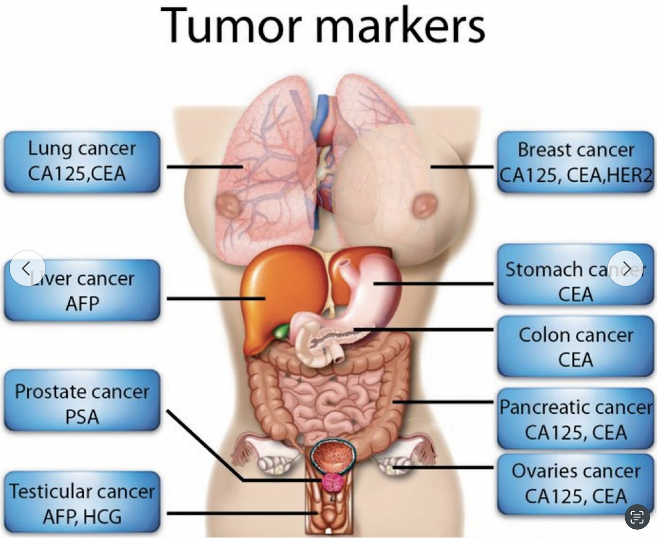스크린샷 2025-03-20 오후 7.55.07.png