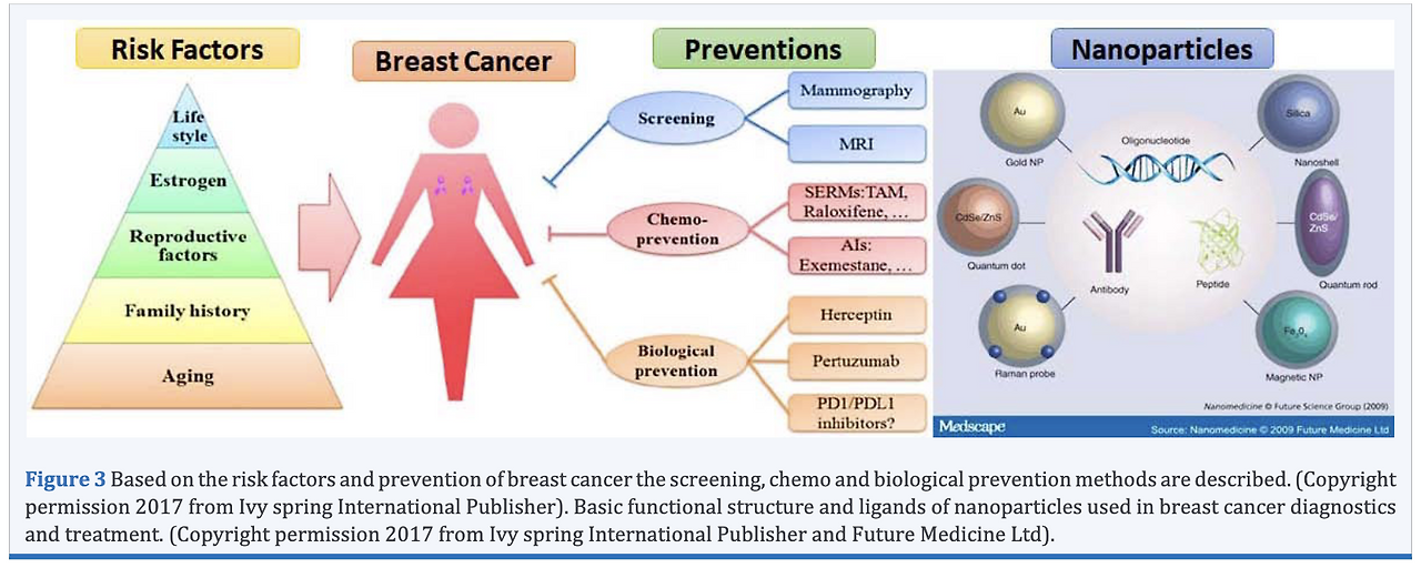 스크린샷 2025-03-20 오후 7.27.51.png