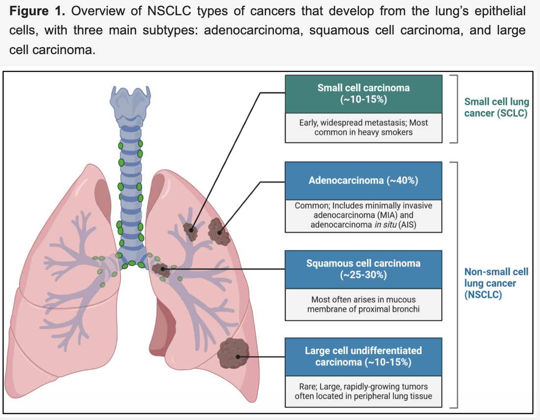 스크린샷 2025-03-20 오후 7.24.17.png