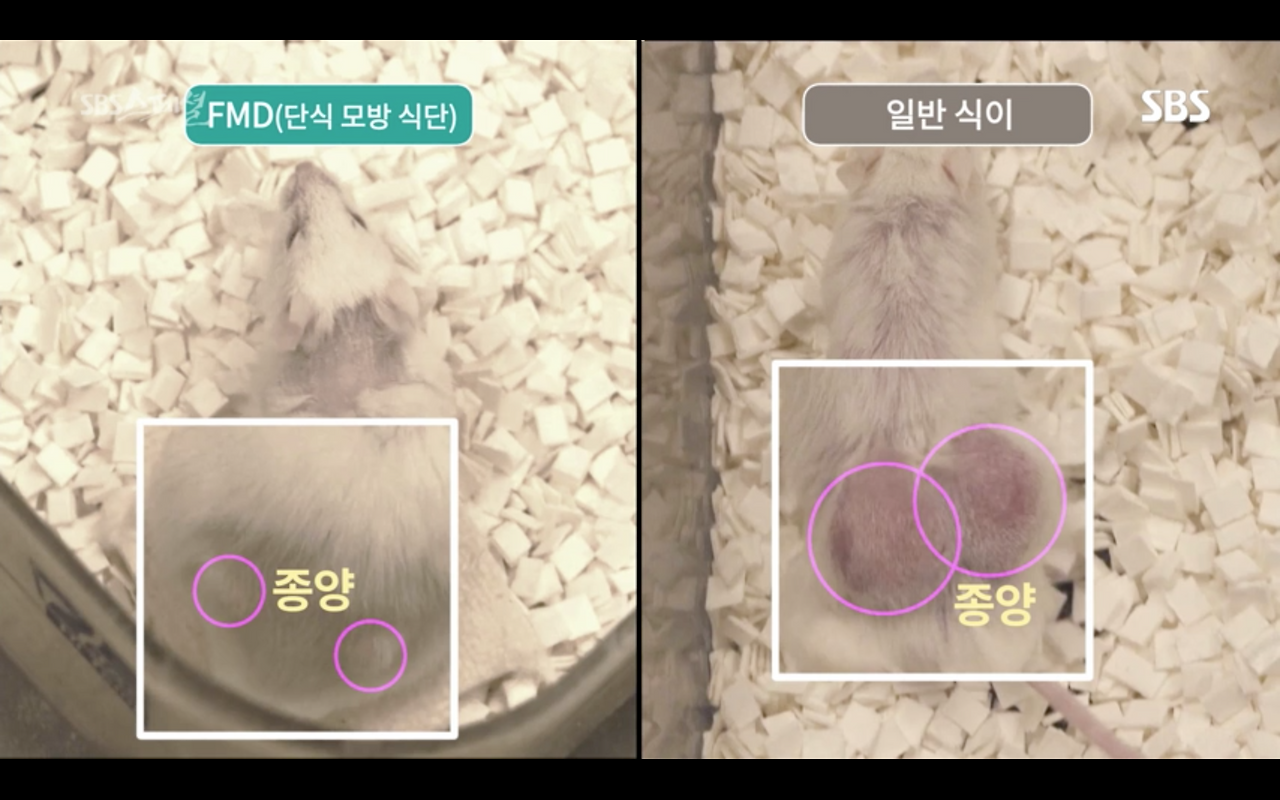 스크린샷 2019-01-26 오후 7.17.43.png