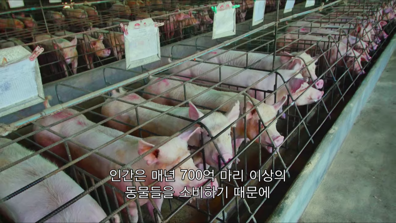 스크린샷 2020-03-01 오후 6.12.00.png