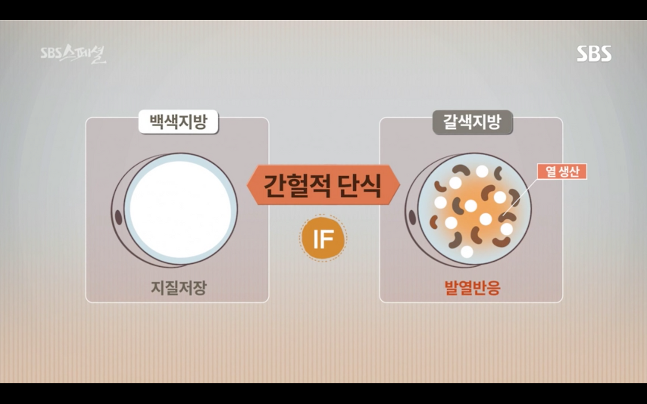 스크린샷 2019-01-26 오후 5.15.03.png