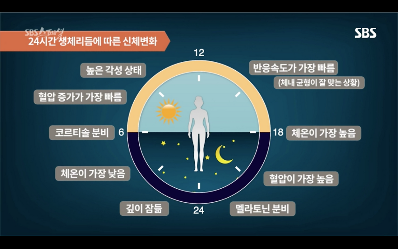 스크린샷 2019-01-24 오후 3.59.29.png