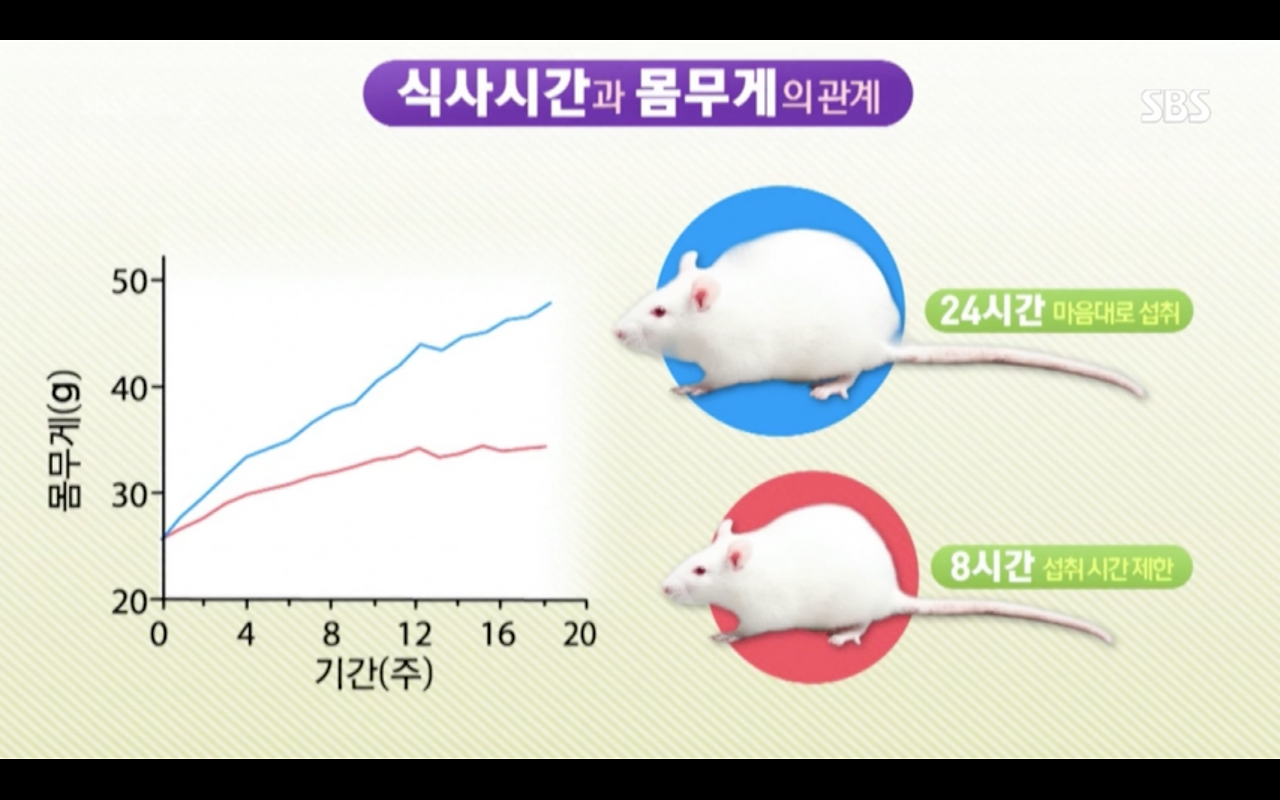 스크린샷 2019-01-26 오후 5.16.41.png