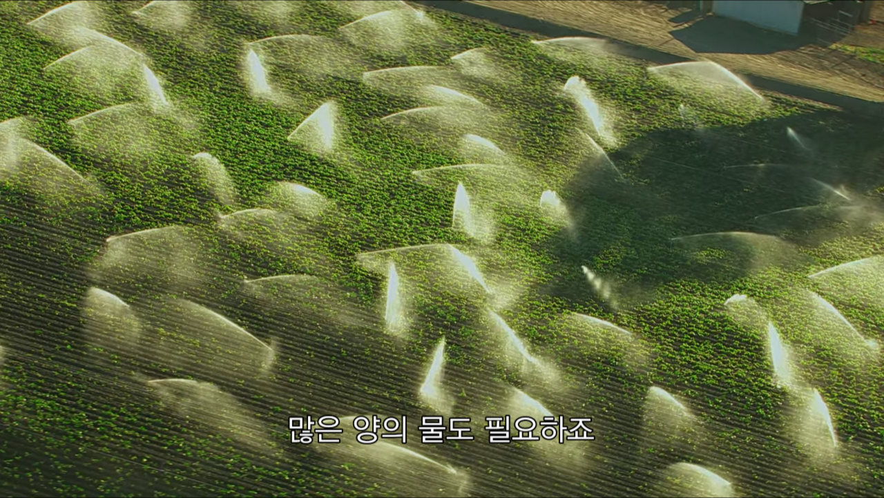 스크린샷 2020-03-01 오후 6.12.11.png