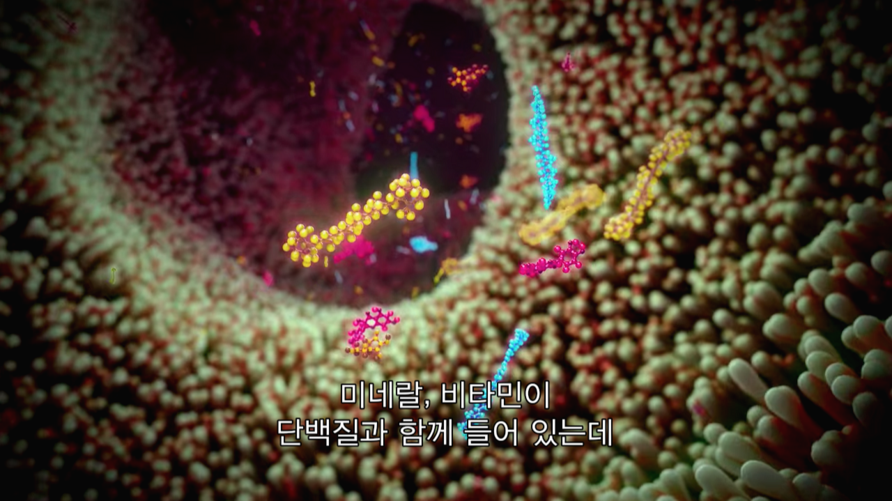 스크린샷 2020-03-01 오후 5.52.08.png