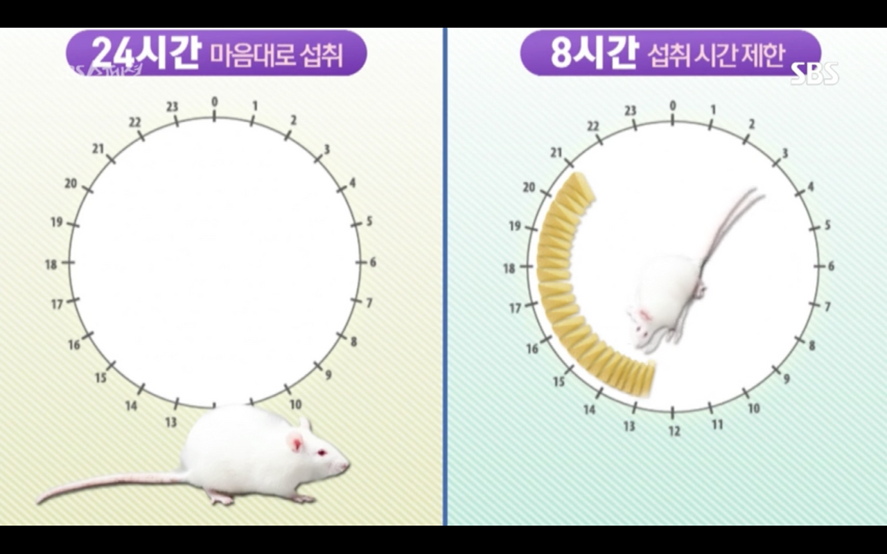 스크린샷 2019-01-26 오후 5.16.29.png