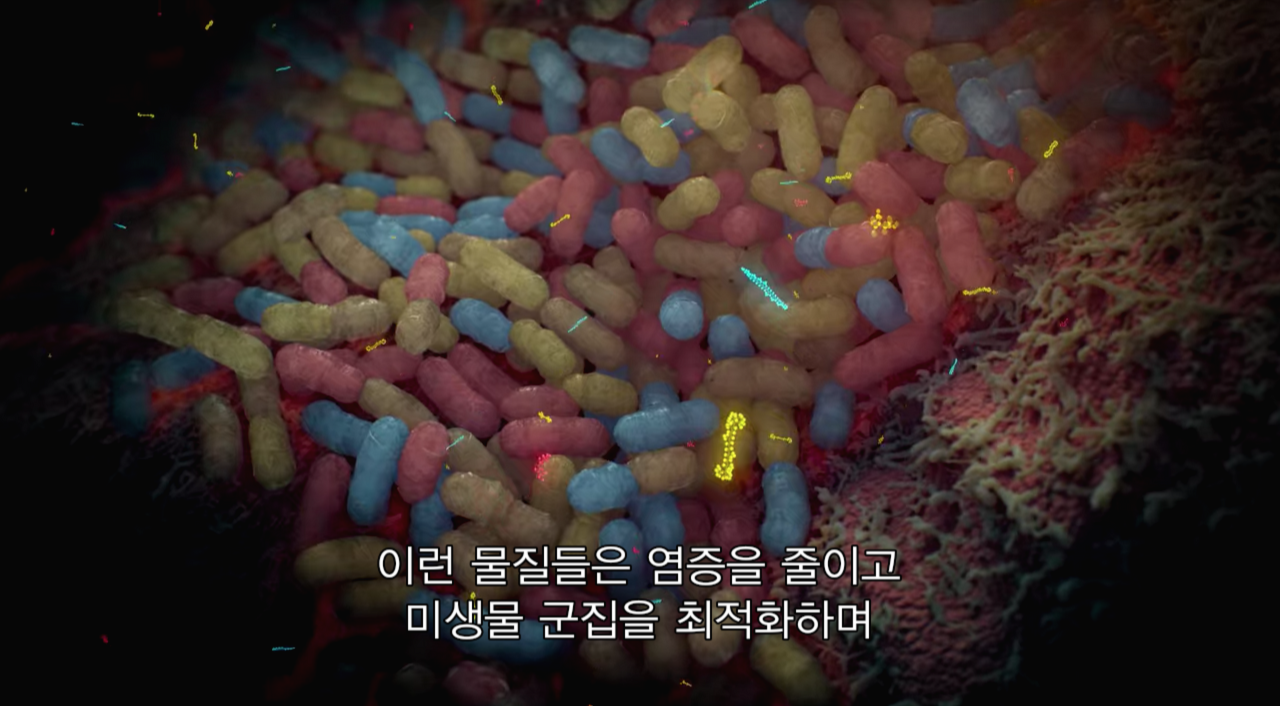 스크린샷 2020-03-01 오후 5.52.13.png