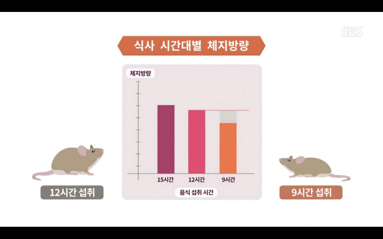 스크린샷 2019-01-24 오후 4.10.40.png