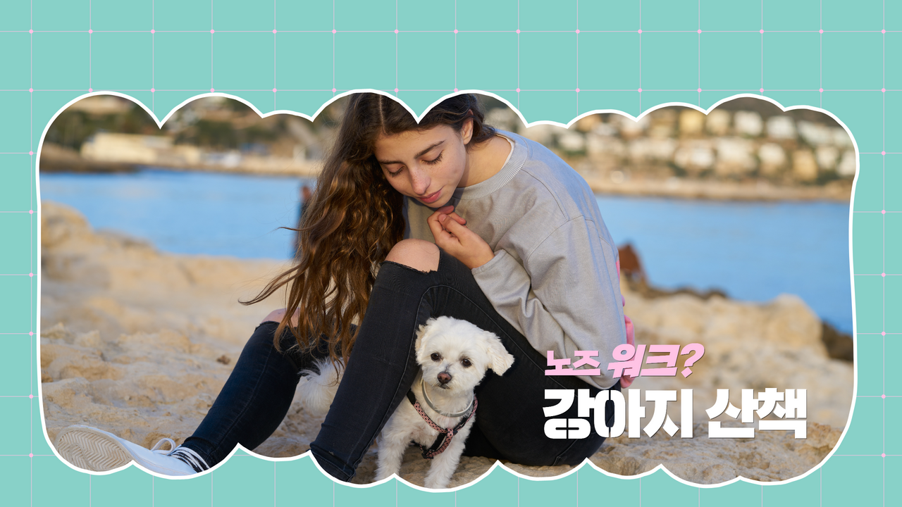 강아지산책 (1).png