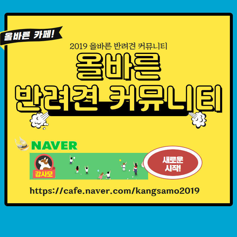 강아지가핥는이유 (7).png