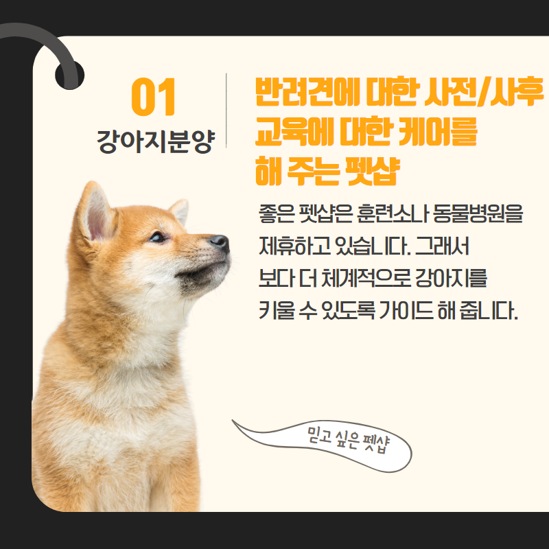 강아지분양 (2).png