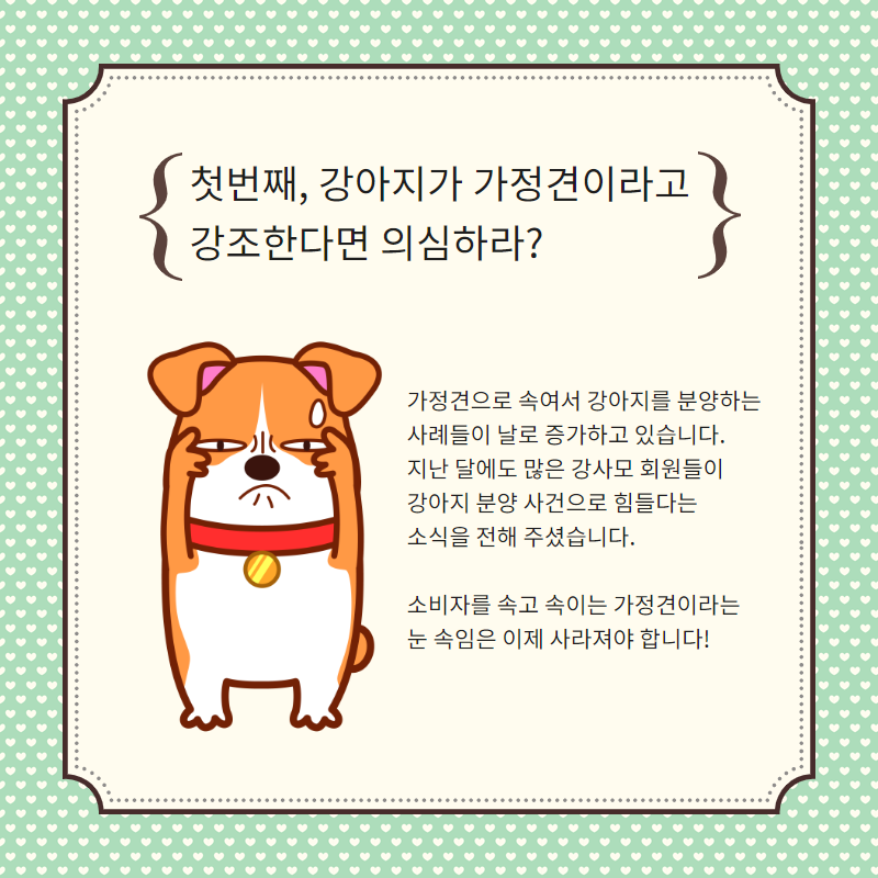 강아지 분양 (2).png