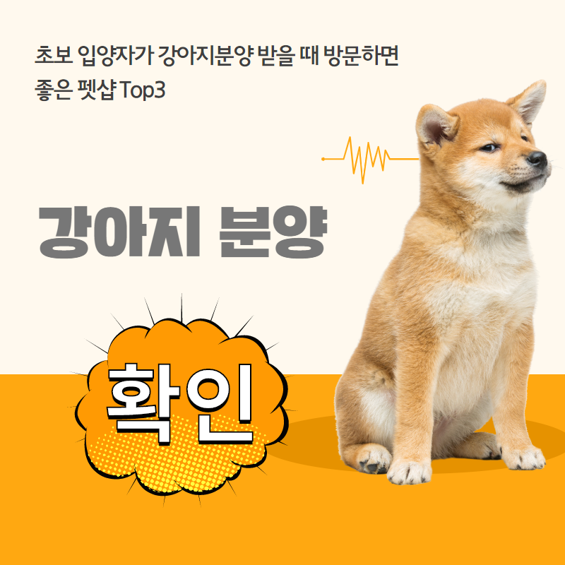 강아지분양 (1).png