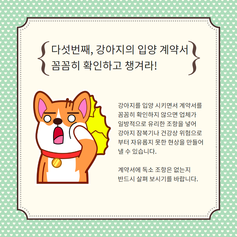강아지 분양 (6).png