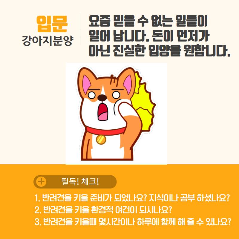 강아지분양 (5).png