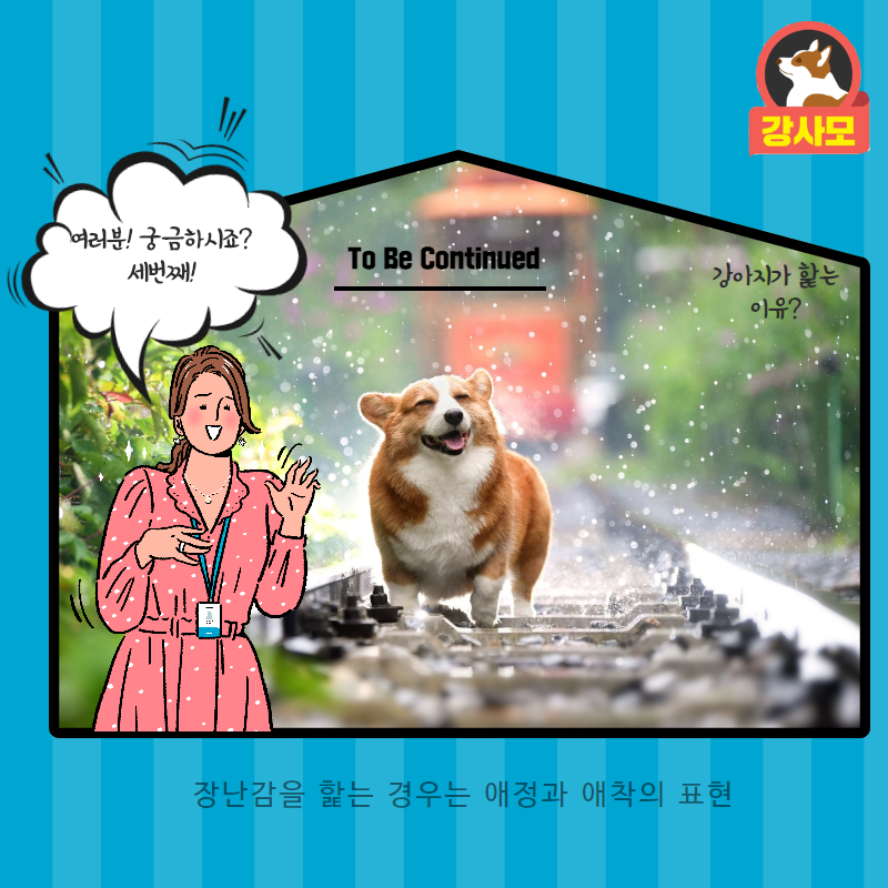 강아지가핥는이유 (4).png