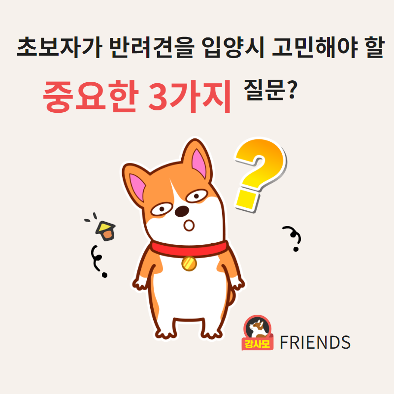 반려견입양중요한3가지.png