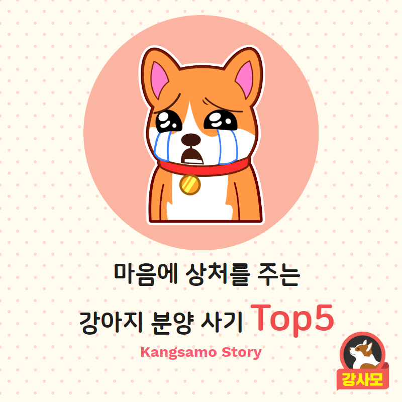 강아지 분양 (1).png