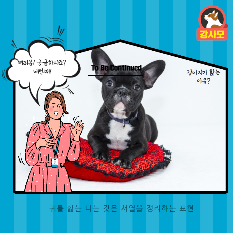 강아지가핥는이유 (5).png