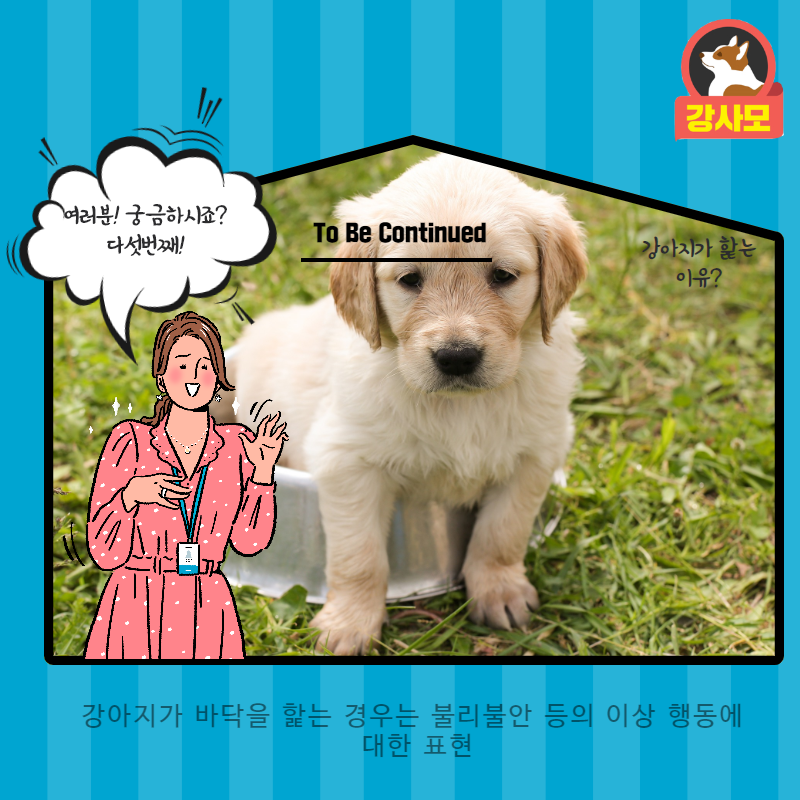 강아지가핥는이유 (6).png