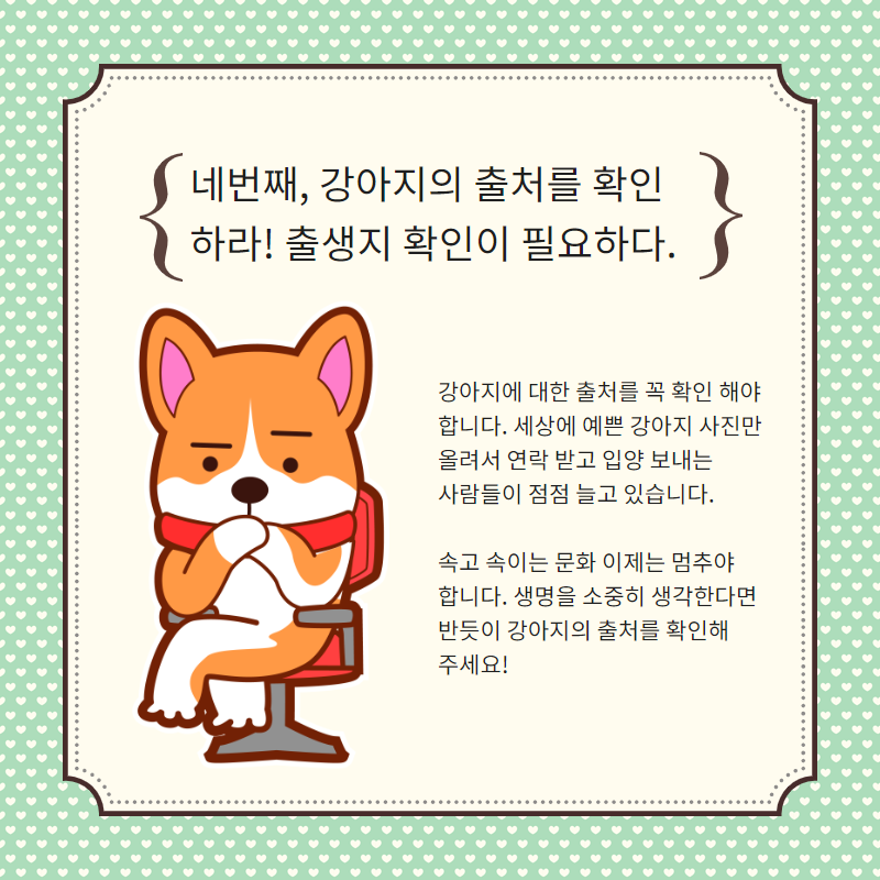 강아지 분양 (5).png