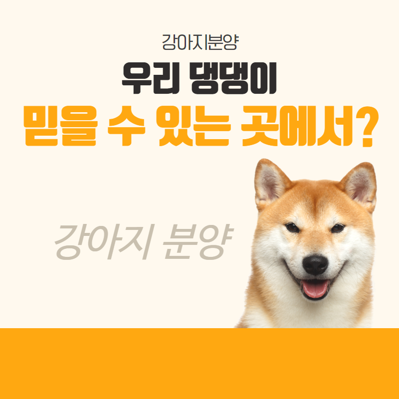 강아지분양 (6).png