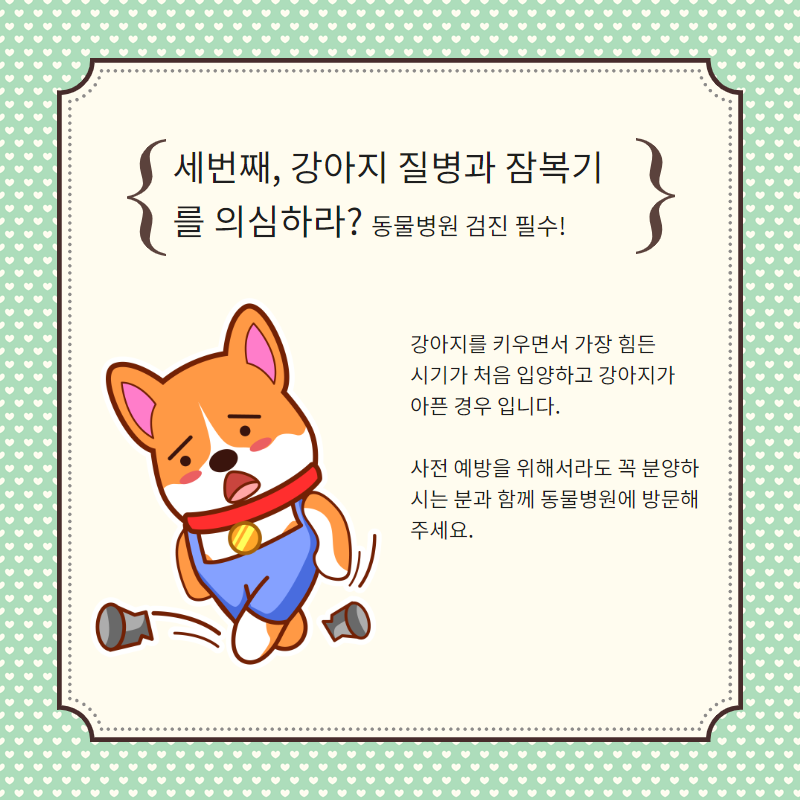 강아지 분양 (4).png